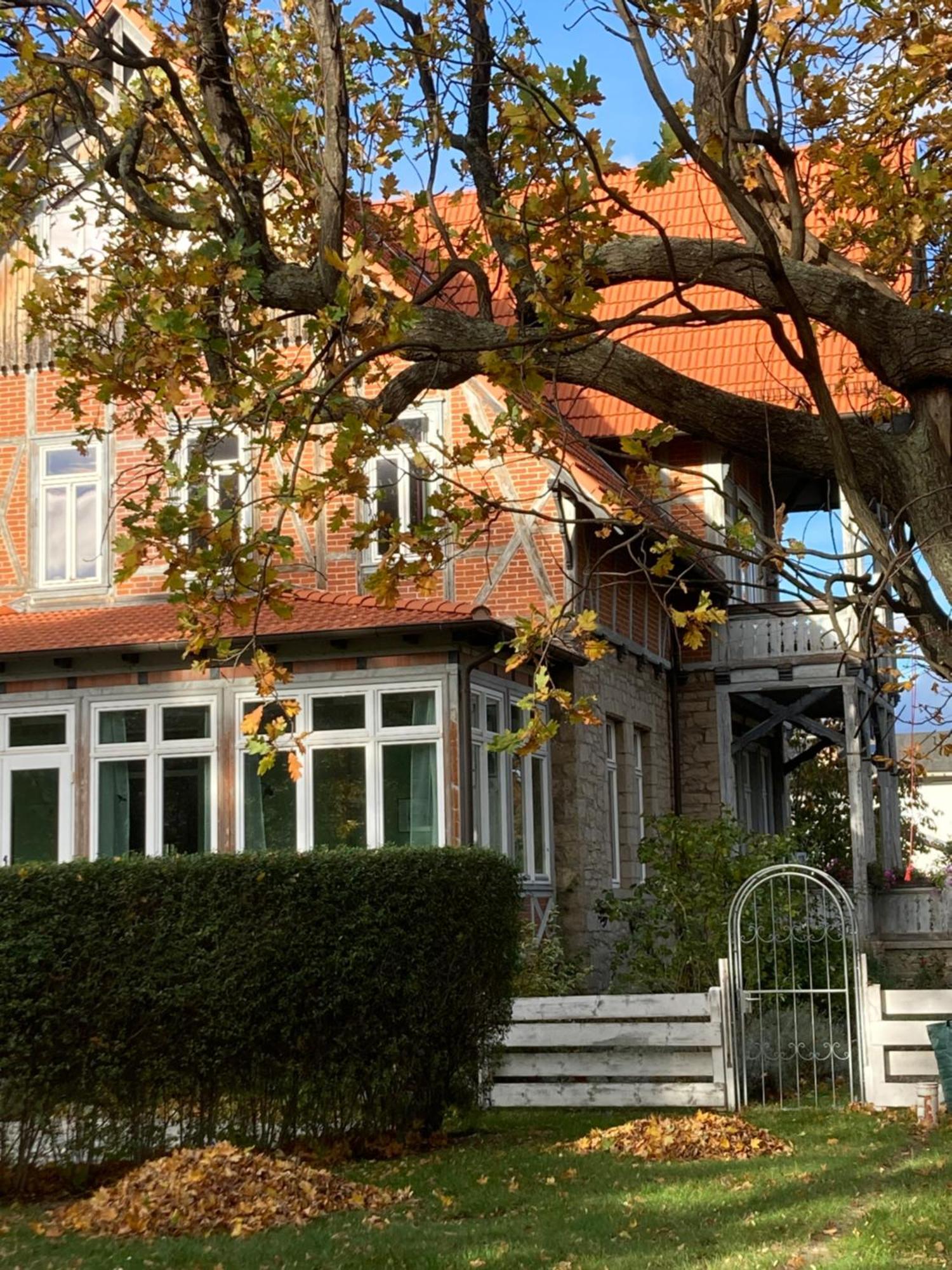 Stadt-gut-Hotel Hoffmanns Gästehaus Thale Exterior foto